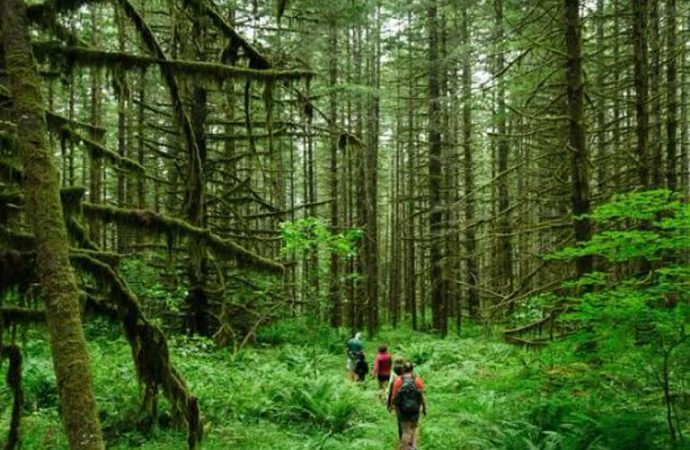उत्तराखंड में इको टूरिज्म को मिली नई उड़ान, पर्यटकों की बढ़ती संख्या ने बनाए नए रिकॉर्ड