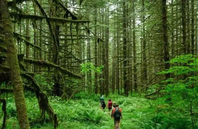 उत्तराखंड में इको टूरिज्म को मिली नई उड़ान, पर्यटकों की बढ़ती संख्या ने बनाए नए रिकॉर्ड