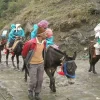 मुख्य पृष्ठ
