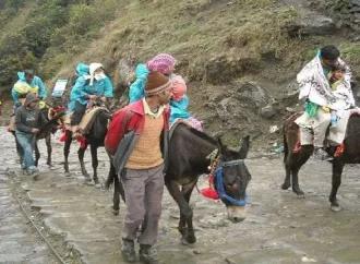 केदारनाथ यात्रा में लापरवाही बर्दाश्त नहीं, बिना पंजीकरण घोड़ा-खच्चर संचालन पर होगी सख्त कार्रवाई