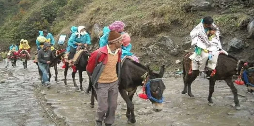 केदारनाथ यात्रा में लापरवाही बर्दाश्त नहीं, बिना पंजीकरण घोड़ा-खच्चर संचालन पर होगी सख्त कार्रवाई