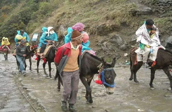 मुख्य पृष्ठ