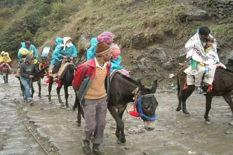 केदारनाथ यात्रा में लापरवाही बर्दाश्त नहीं, बिना पंजीकरण घोड़ा-खच्चर संचालन पर होगी सख्त कार्रवाई