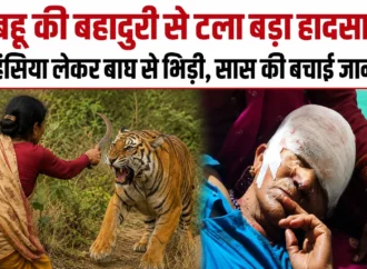 बहू की बहादुरी से टला बड़ा हादसा: हंसिया लेकर बाघ से भिड़ी, सास की बचाई जान