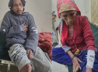 चमोली में भालू का हमला, एक ही परिवार के चार लोग घायल; हायर सेंटर रेफर