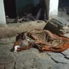 देहरादून में मर्डर!, पति ने दराती से पत्नी का काटा गला, शव को आंगन में फेंका